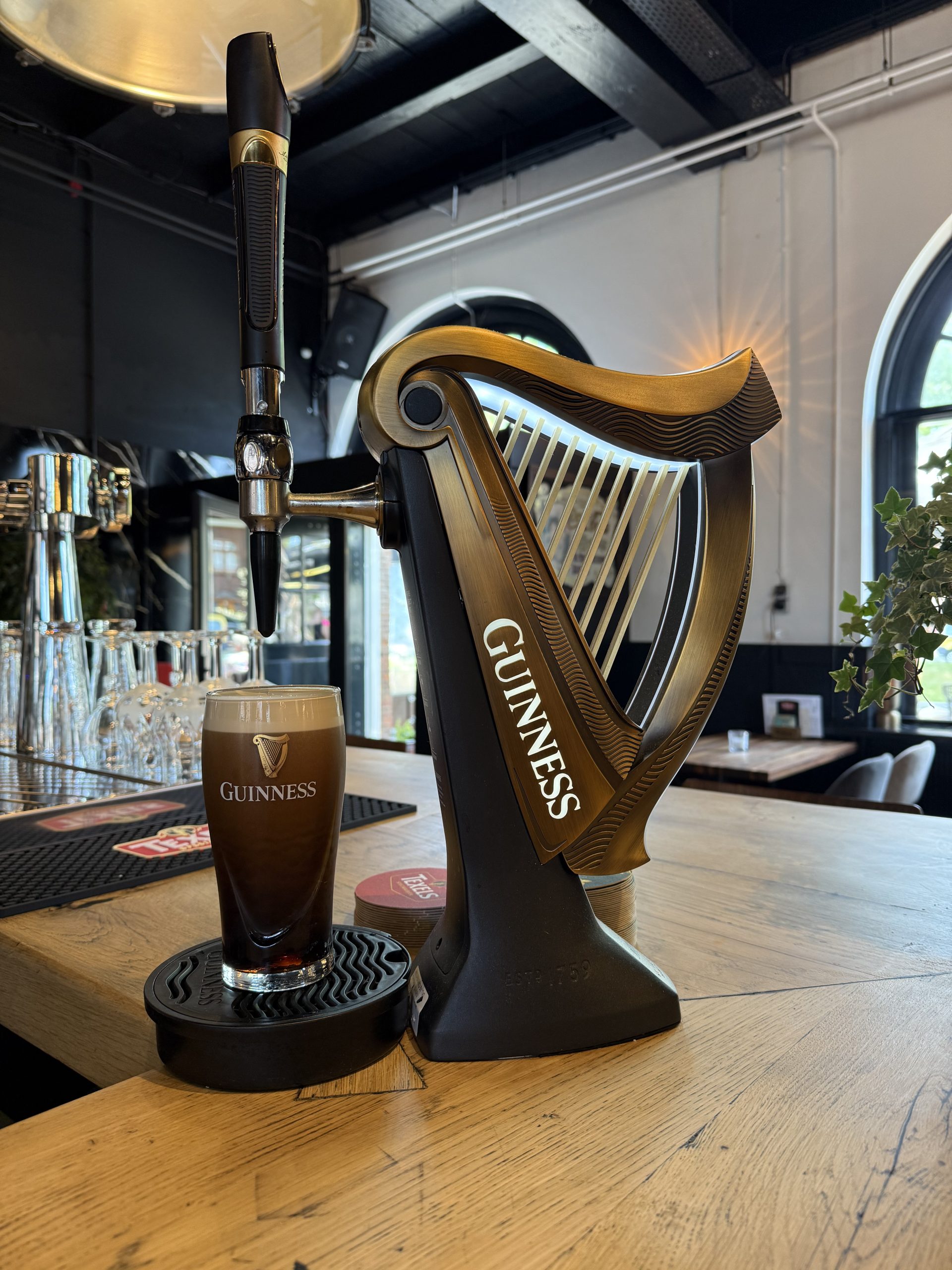 Guinness bier den helder Denhelder-guinness bier de werf willemsoord